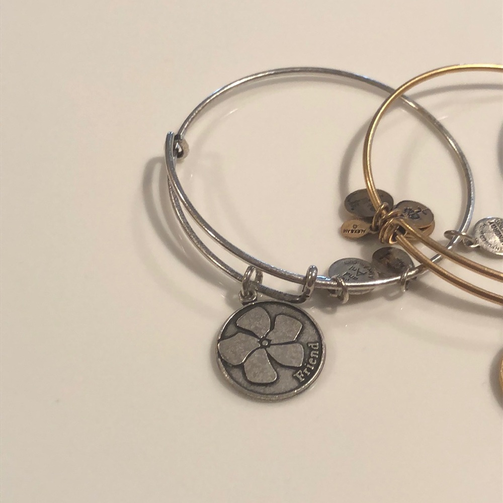 FAMILY FASHION Alex and Ani Bundle - Picture 2 of 5